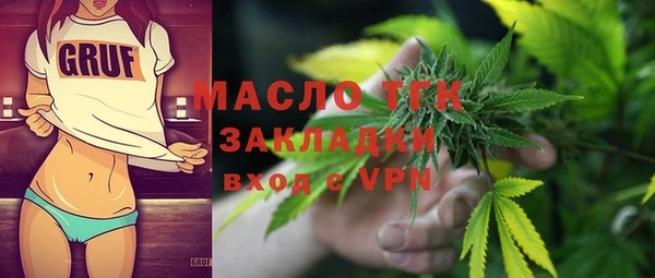 индика Арсеньев