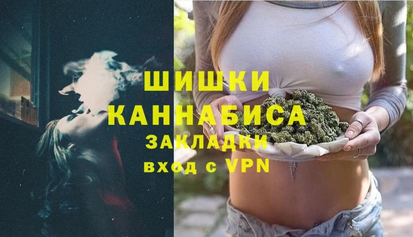 индика Арсеньев