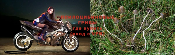спайс Армянск