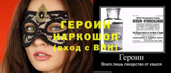 индика Арсеньев