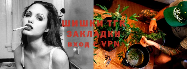 амф Аркадак