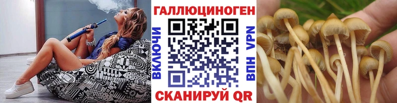 Галлюциногенные грибы MAGIC MUSHROOMS  Няндома 